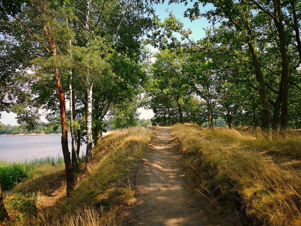 Wanderwege Lüneburger Heide