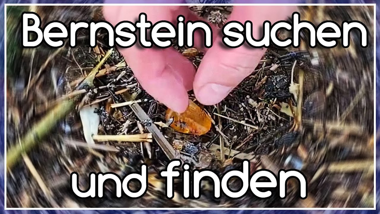echten-bernstein-erkennen