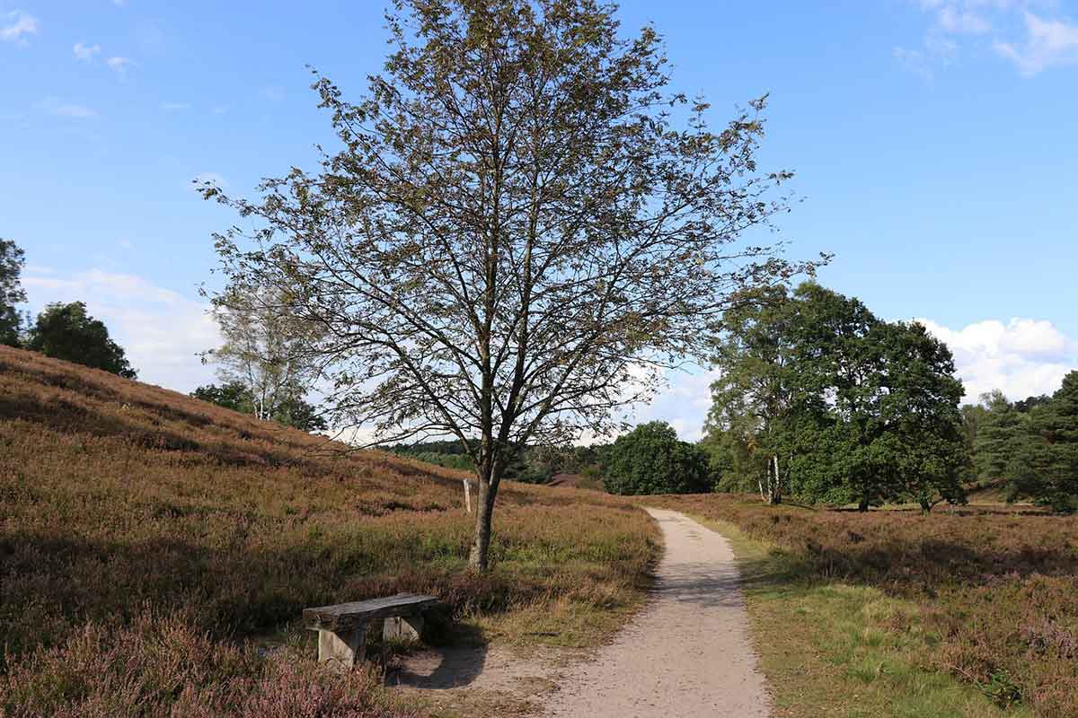 Urlaub in der Lüneburger Heide